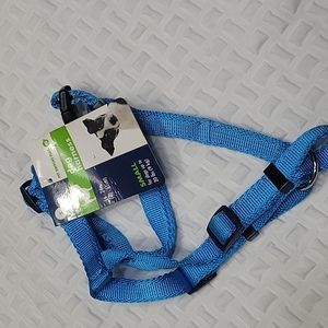 Small blue dog harness